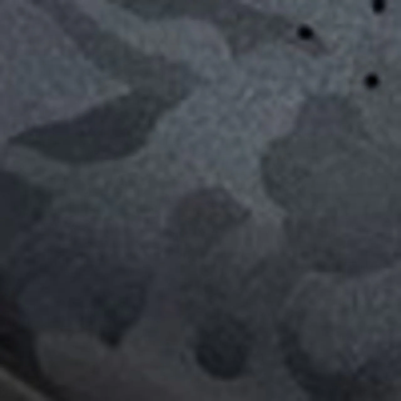 Thumbnail 13